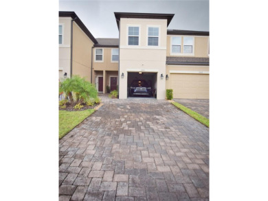 (private lake, pond, creek) Townhome/Townhouse For Sale in Wesley Chapel Florida