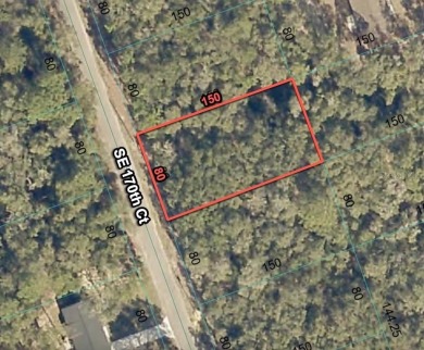 Lake Lot For Sale in Ocklawaha, Florida