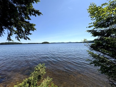 (private lake, pond, creek) Home Sale Pending in Lake Clear New York