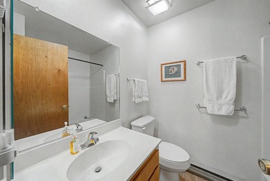 SEVENTY NINE REASONS TO BUY UNIT #79 AT GRAEAGLE MEADOWS! Not - photo 30