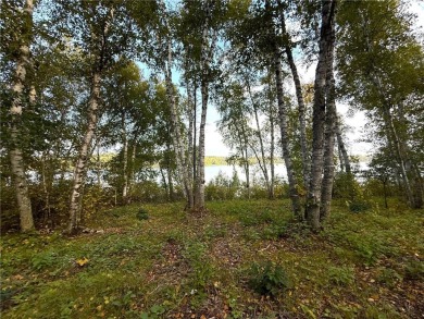 Lake Acreage For Sale in Nevis, Minnesota