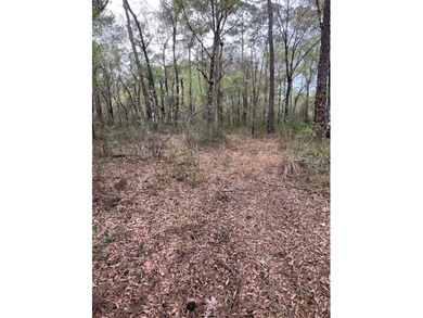 Withlacoochee River Lot For Sale in Webster Florida