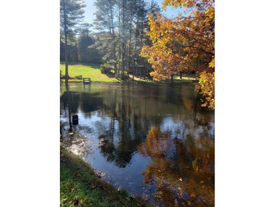 Lake Home For Sale in Galax, Virginia