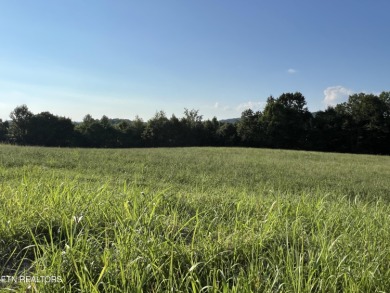 (private lake, pond, creek) Lot For Sale in Byrdstown Tennessee