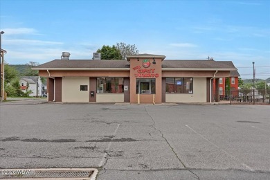 Susquehanna River - Clinton County Commercial For Sale in Williamsport Pennsylvania