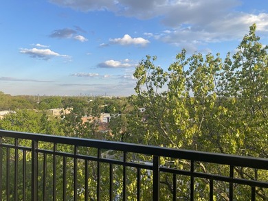Beautiful, spacious 2-bedroom, 2-bath condo in an impeccably - photo 25