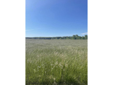 Lake Cumberland Lot For Sale in Russell Springs Kentucky