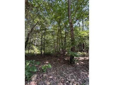 COME AND BUILD YOUR DREAM HOME on 1.01 acres in this Beautiful - photo 2
