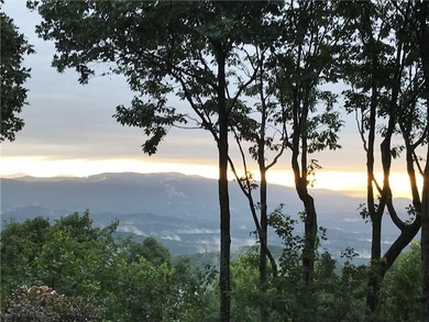 Cove Lake Home For Sale in Big Canoe Georgia