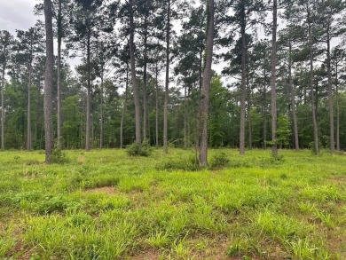Lake Lot For Sale in Brookeland, Texas