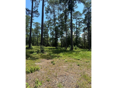 Lake Lot For Sale in Brookeland, Texas