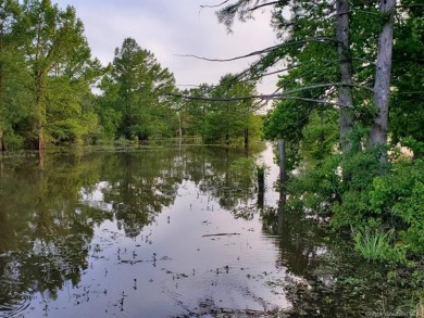 Toledo Bend Reservoir Lot For Sale in Zwolle Louisiana