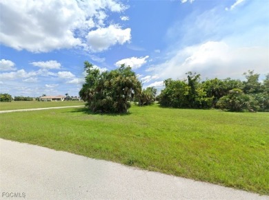 Beautiful oversized corner lot in the Burnt Store Lakes - photo 4