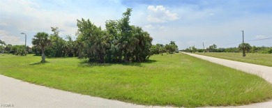 Beautiful oversized corner lot in the Burnt Store Lakes - photo 5