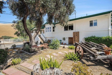 An Opportunity not to be missed. Riley Ranch, a 502 acre, 5 - photo 7