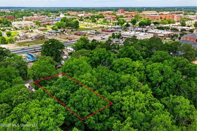 Commercial office opportunity in the heart of Hattiesburg - photo 45