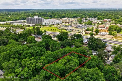 Commercial office opportunity in the heart of Hattiesburg - photo 46