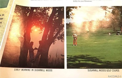 Premium home site in Cypress Village at Sugarmill Woods. Lot 31 - photo 8