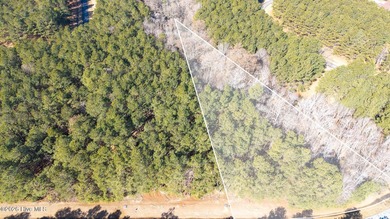 This beautiful Phase one lot is over an acre of land in the - photo 3