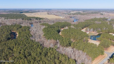 This beautiful Phase one lot is over an acre of land in the - photo 5