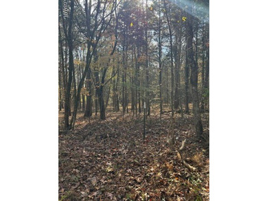 Douglas Lake Lot For Sale in Baneberry Tennessee