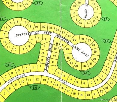 Premium home site in Cypress Village at Sugarmill Woods. Lot 15 - photo 1