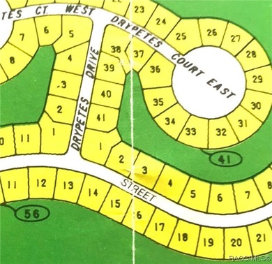 Premium home site in Cypress Village at Sugarmill Woods. Lot 15 - photo 2