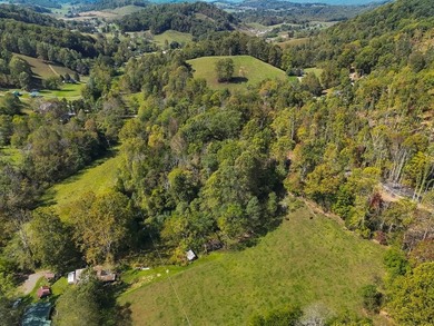 Lake Acreage For Sale in Meadowview, Virginia