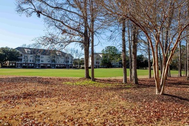 This incredible master down floorplan on the golf course in - photo 25