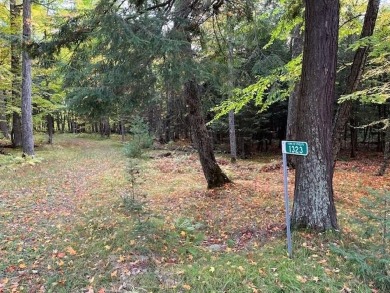 Long Lake - Vilas County Acreage For Sale in Phelps Wisconsin