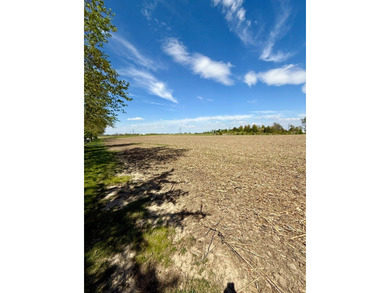 Additional listing photo 3
