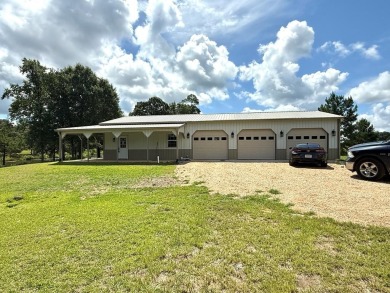 Lake Home For Sale in Abbeville, Alabama