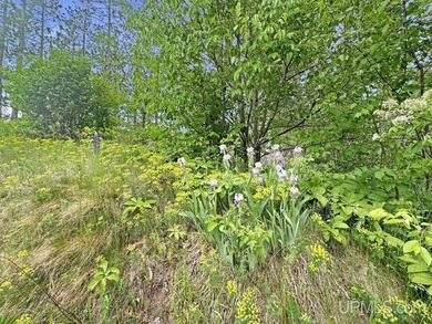 Rarely does a home like this come to market. Encompassing over - photo 50