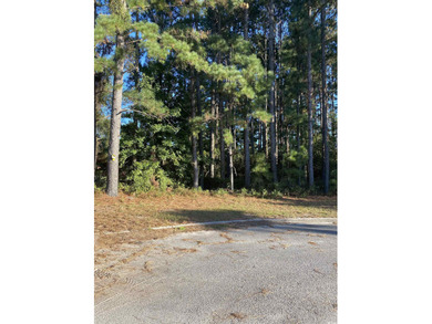 Plantation Lakes  Commercial For Sale in Myrtle Beach South Carolina