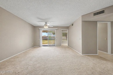 Move-in ready twin home in Sun City! 2 beds, 2 baths, 1-car - photo 4
