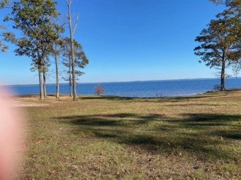 Unrestricted acreage! One of the most gorgeous properties on the - Lake Acreage Off Market in Hemphill, Texas