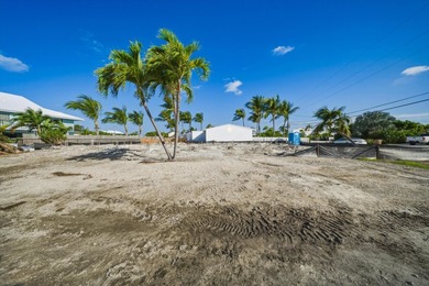Experience the rare opportunity to own a brand-new waterfront - photo 11