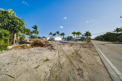 Experience the rare opportunity to own a brand-new waterfront - photo 13