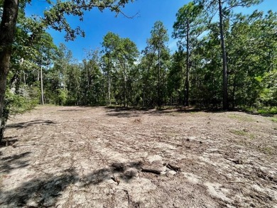 Lake Lot For Sale in Brookeland, Texas