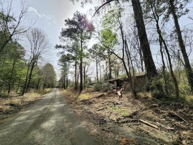 Lake Acreage Sale Pending in Shelbyville, Texas