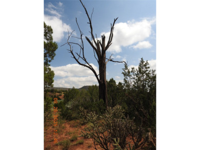 Lake Acreage Sale Pending in , New Mexico