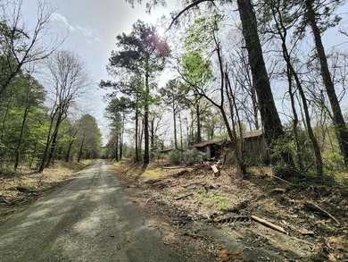 Introducing a 2 +/- acre tract in Shelby County, TX, with a - photo 2