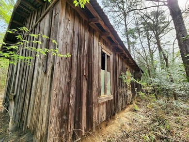 Introducing a 2 +/- acre tract in Shelby County, TX, with a - photo 3