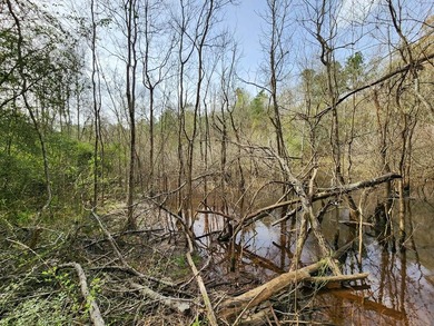 Introducing a 2 +/- acre tract in Shelby County, TX, with a - photo 5