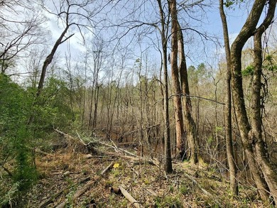 Introducing a 2 +/- acre tract in Shelby County, TX, with a - photo 7