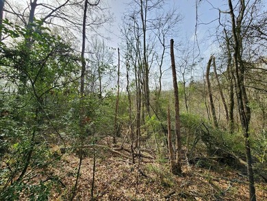 Introducing a 2 +/- acre tract in Shelby County, TX, with a - photo 9