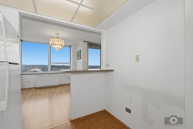 Light, Bright & Beautiful 1 bed+1 bath + 1 car heated garage - photo 8