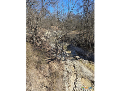 (private lake, pond, coastal) Acreage For Sale in Holland Texas