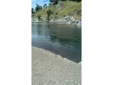 Ever dream of owning a slice of Northern California property - photo 14