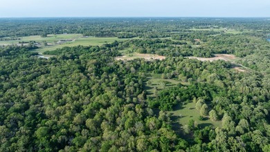 Just outside Athens, Texas, this exceptional 250-acre ranch - photo 15